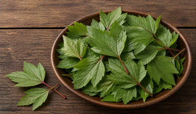 Gongura leaf